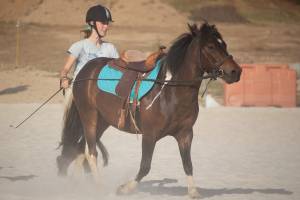 Astrid USAI - Donatella